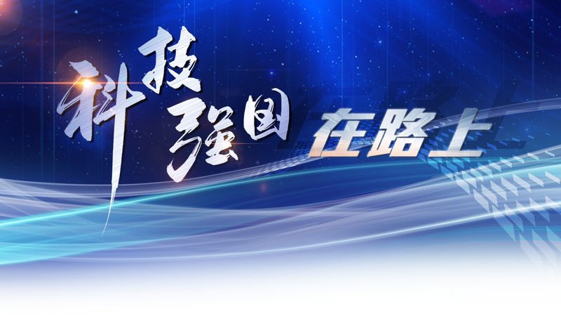 软件测试文档管理工具：提升测试效率的关键利器